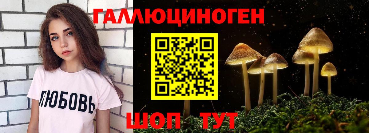Псилоцибиновые грибы GOLDEN TEACHER Бахчисарай